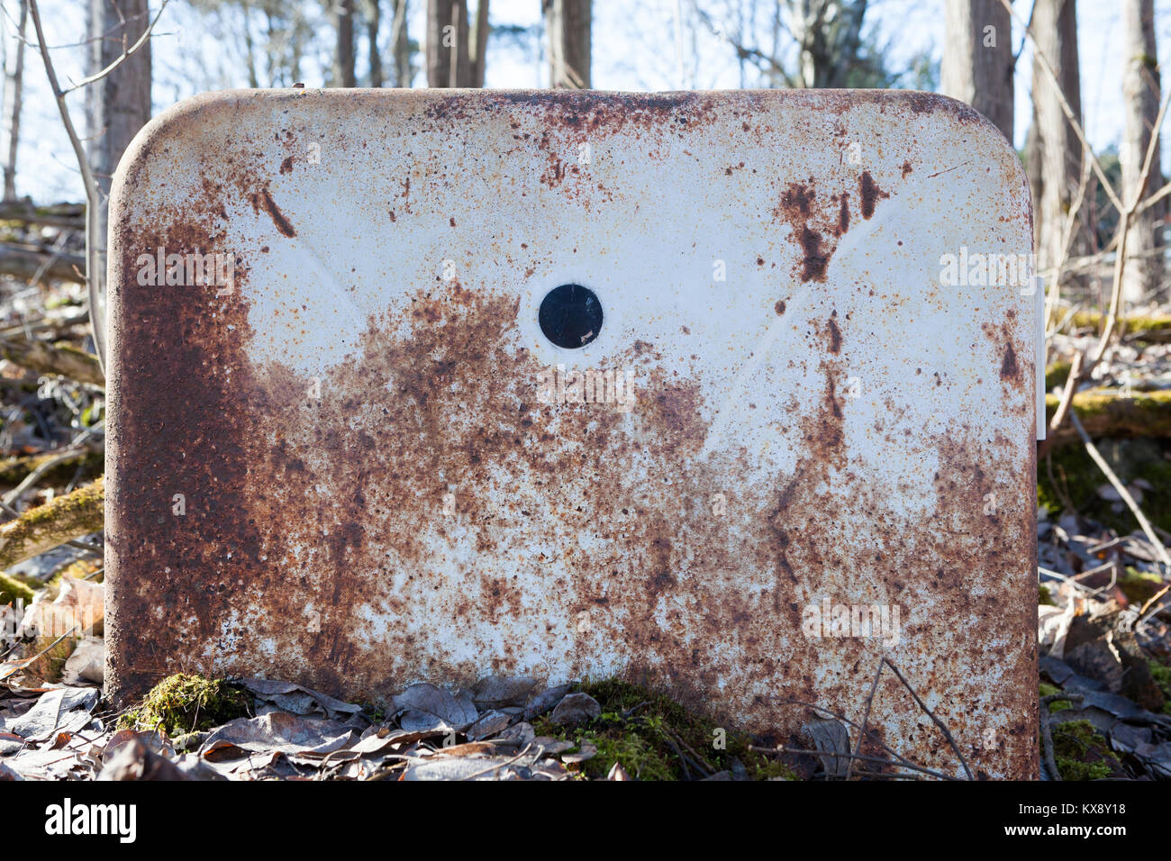 Rusty cestino in foresta Foto Stock