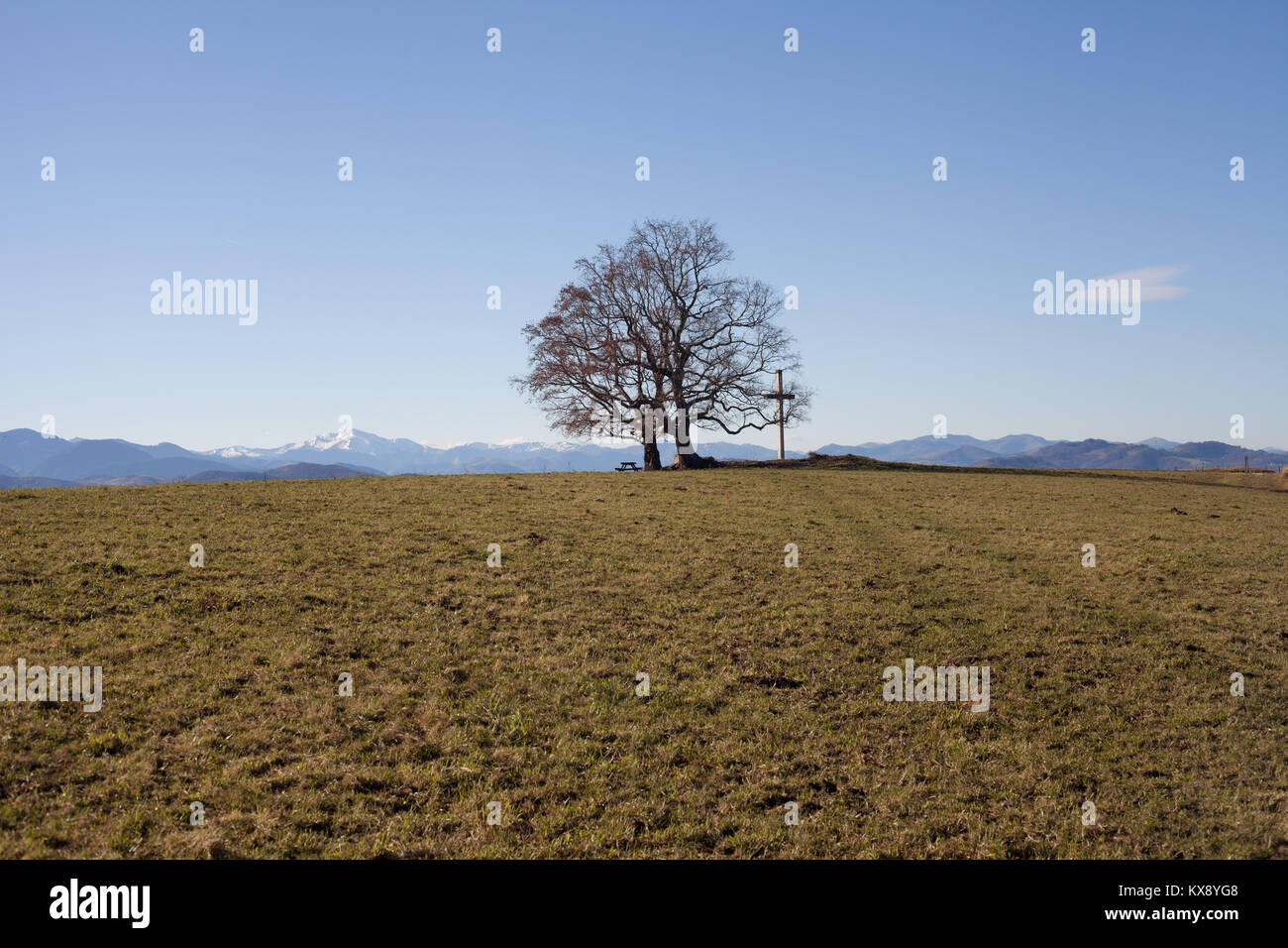 Tavolo da picnic sotto un albero accanto al Dolmen de Peyrecor sopra il villaggio di Escout, Pirenei Atlantiques, Francia Foto Stock