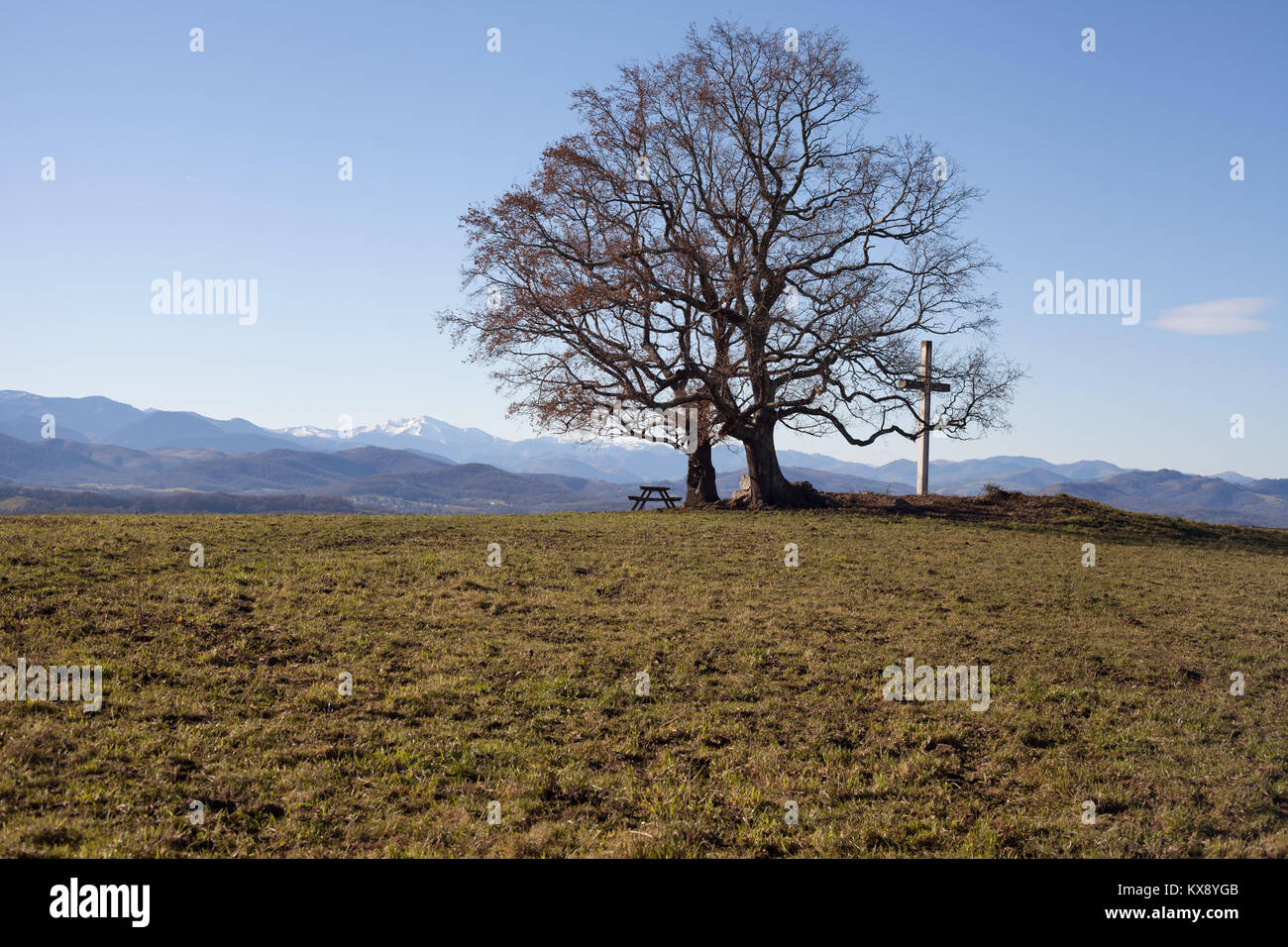 Tavolo da picnic sotto un albero accanto al Dolmen de Peyrecor sopra il villaggio di Escout, Pirenei Atlantiques, Francia Foto Stock