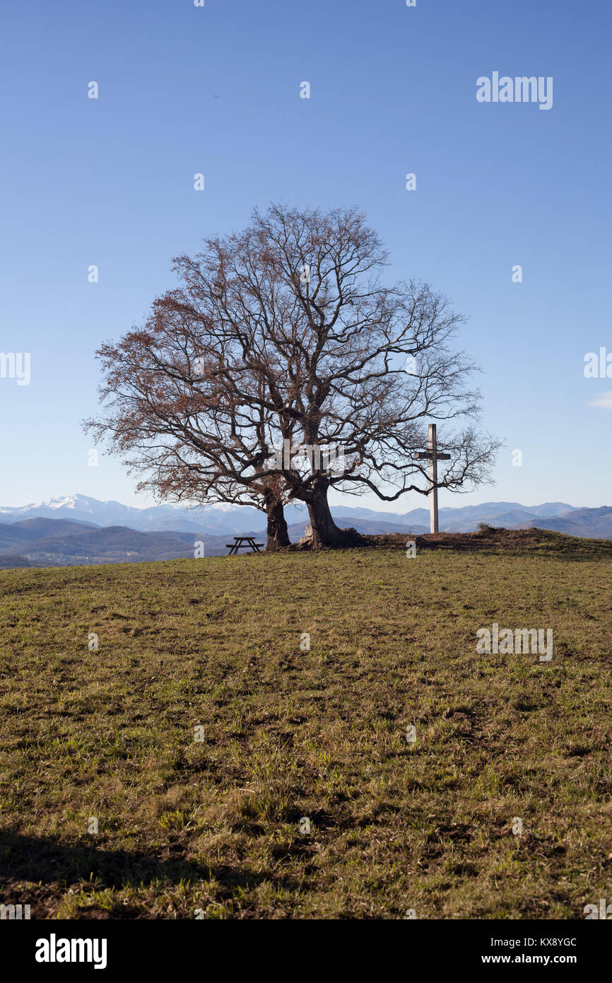 Tavolo da picnic sotto un albero accanto al Dolmen de Peyrecor sopra il villaggio di Escout, Pirenei Atlantiques, Francia Foto Stock
