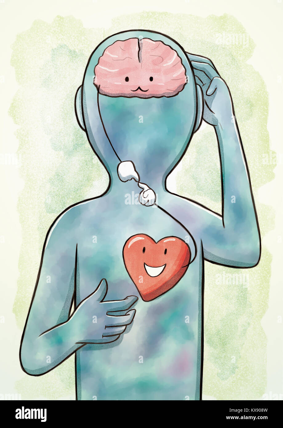 Il cervello e il cuore il collegamento all'interno di una sagoma umana Foto Stock