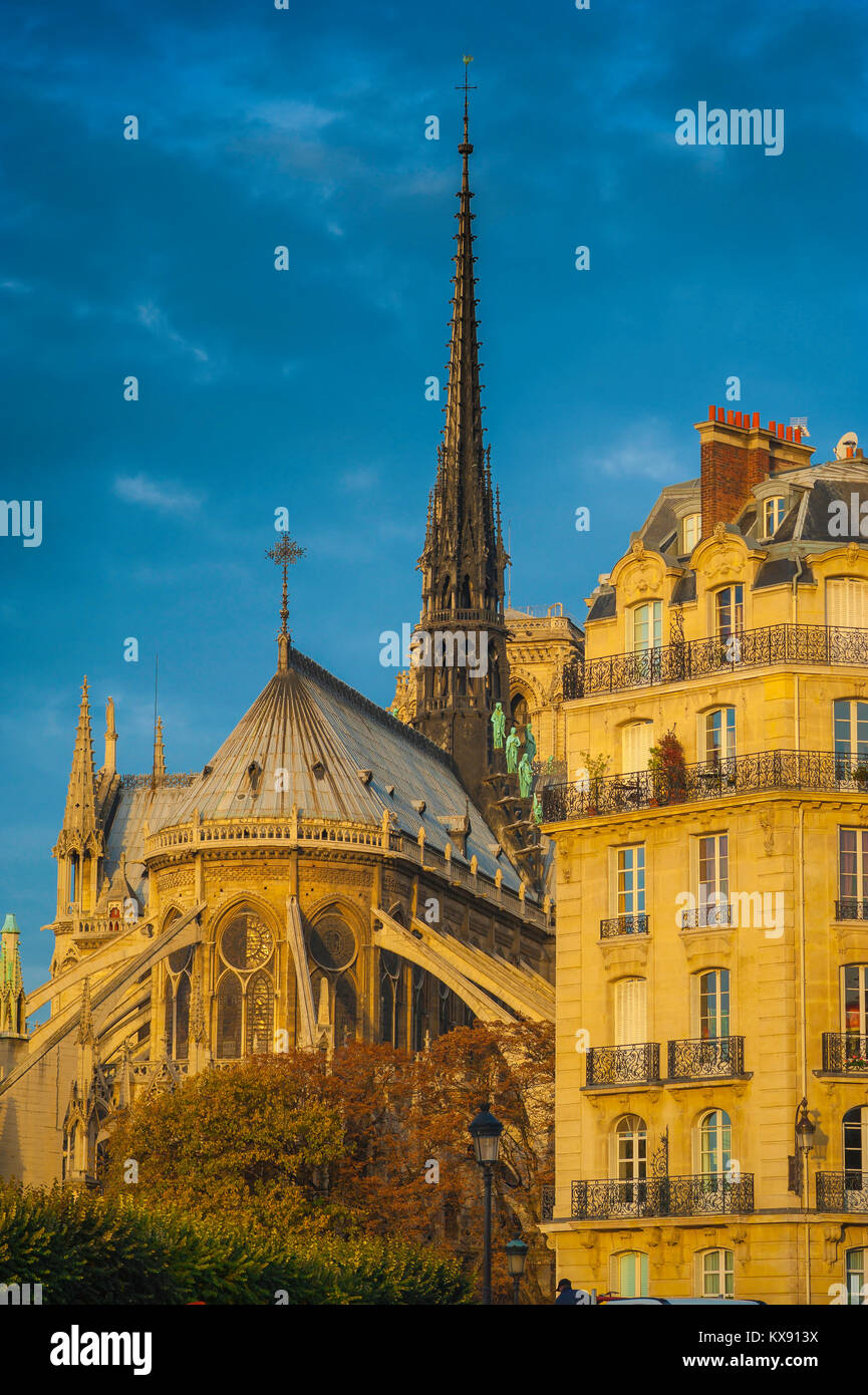 Architettura di Parigi, l'estremità est della cattedrale di Notre Dame a fianco di un tipico del XIX secolo appartamento edificio sulla Ile de la Cite a Parigi, Francia. Foto Stock