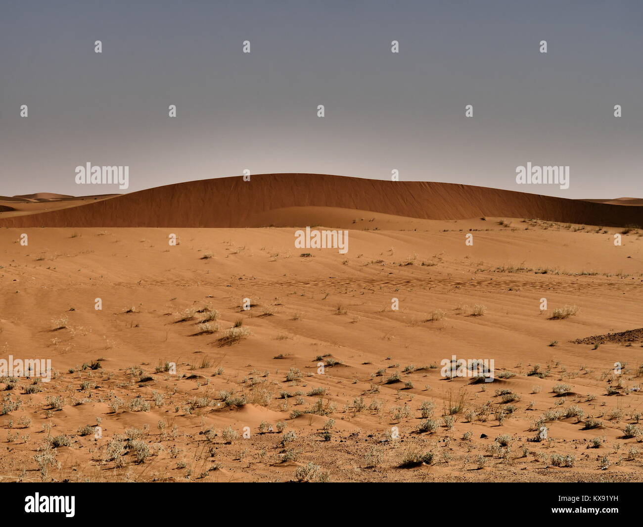 In viaggio verso il deserto in Arabia Saudita Foto Stock