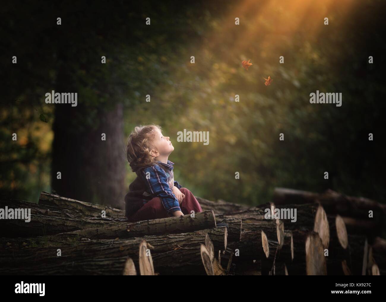 Giovane ragazzo caucasico wathing foglie che cadono in autunno Foto Stock