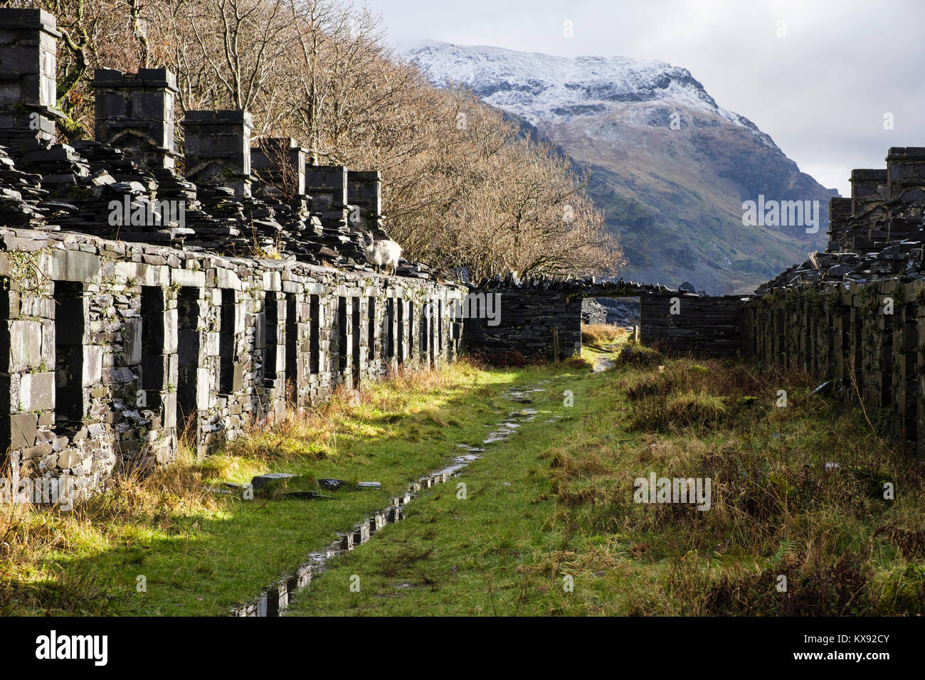 Rovine della vecchia caserma di Anglesey fila dei cavatori di cottages di Dinorwig cava di ardesia su Elidir Fawr in Snowdonia Dinorwic Llanberis Gwynedd Wales UK Foto Stock