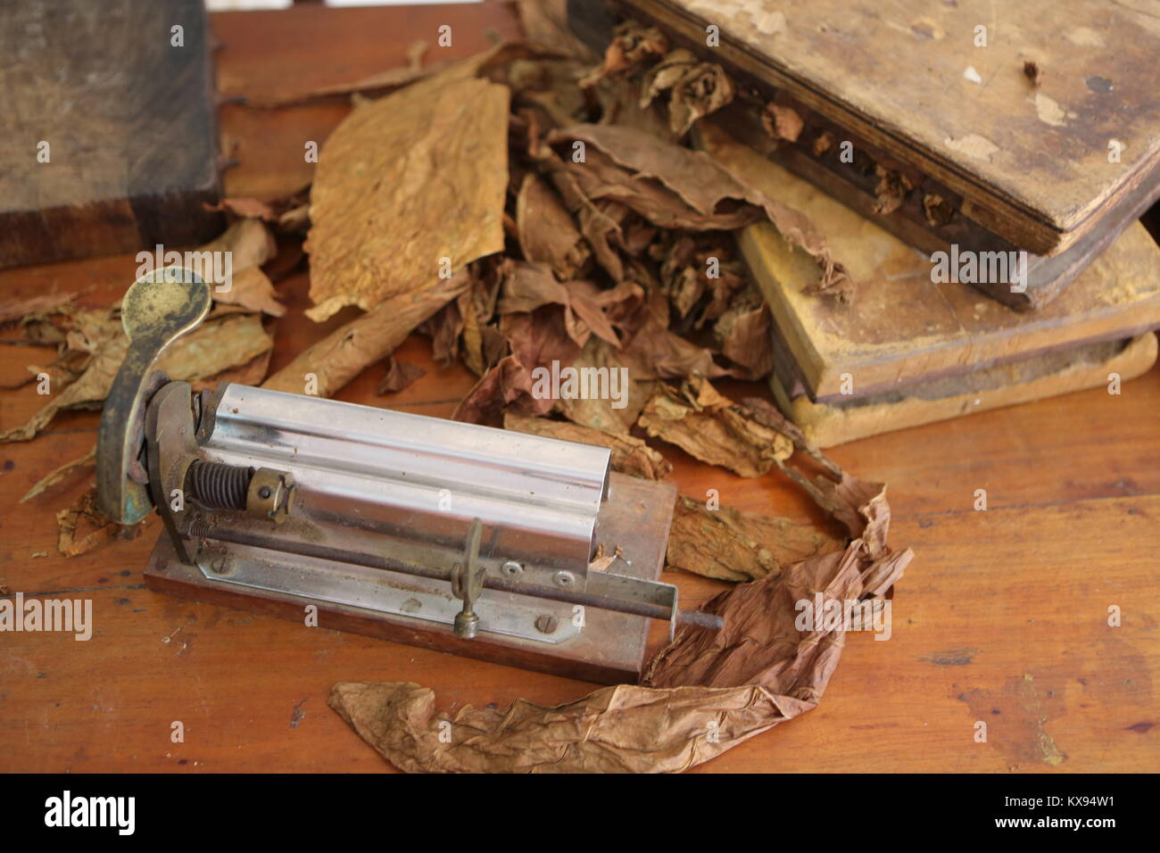 Zigarren Herstellung in Cuba -sigari manufacturing in Cuba Foto Stock