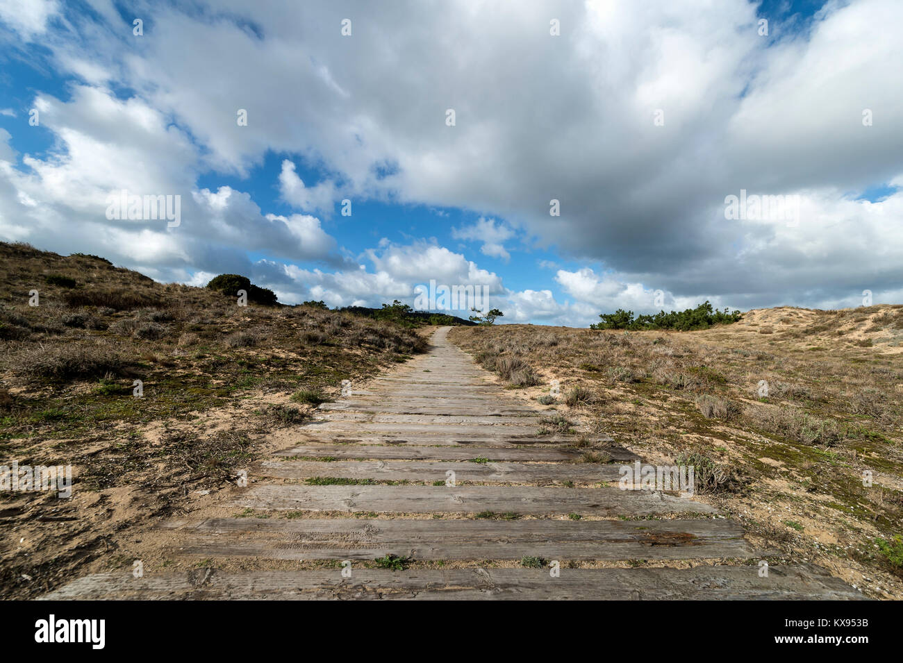 Passerella in legno con un wild sky Foto Stock