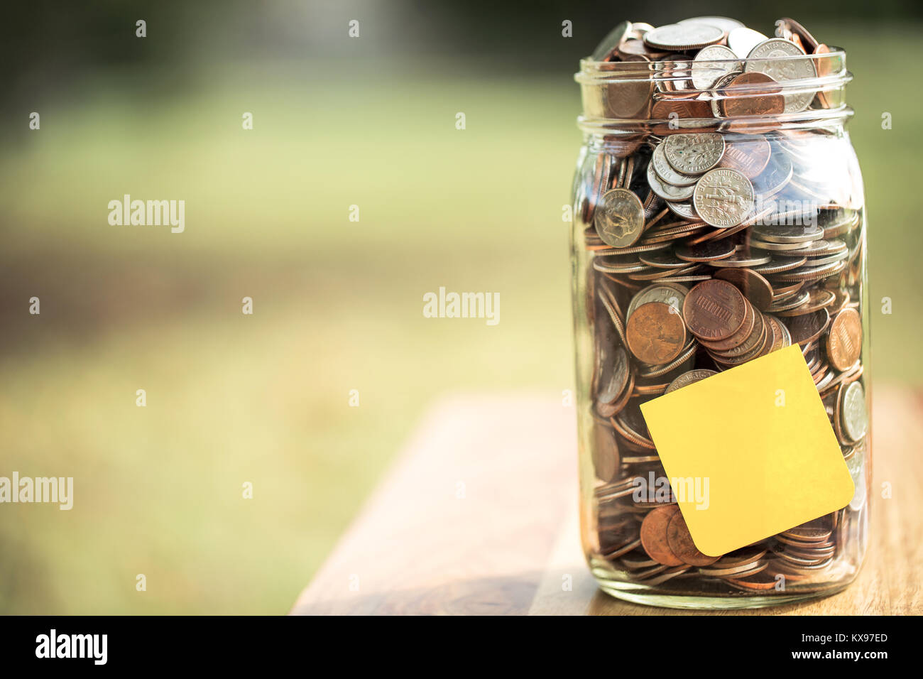 Mony vasetto esterno con spazio copia. Foto Stock