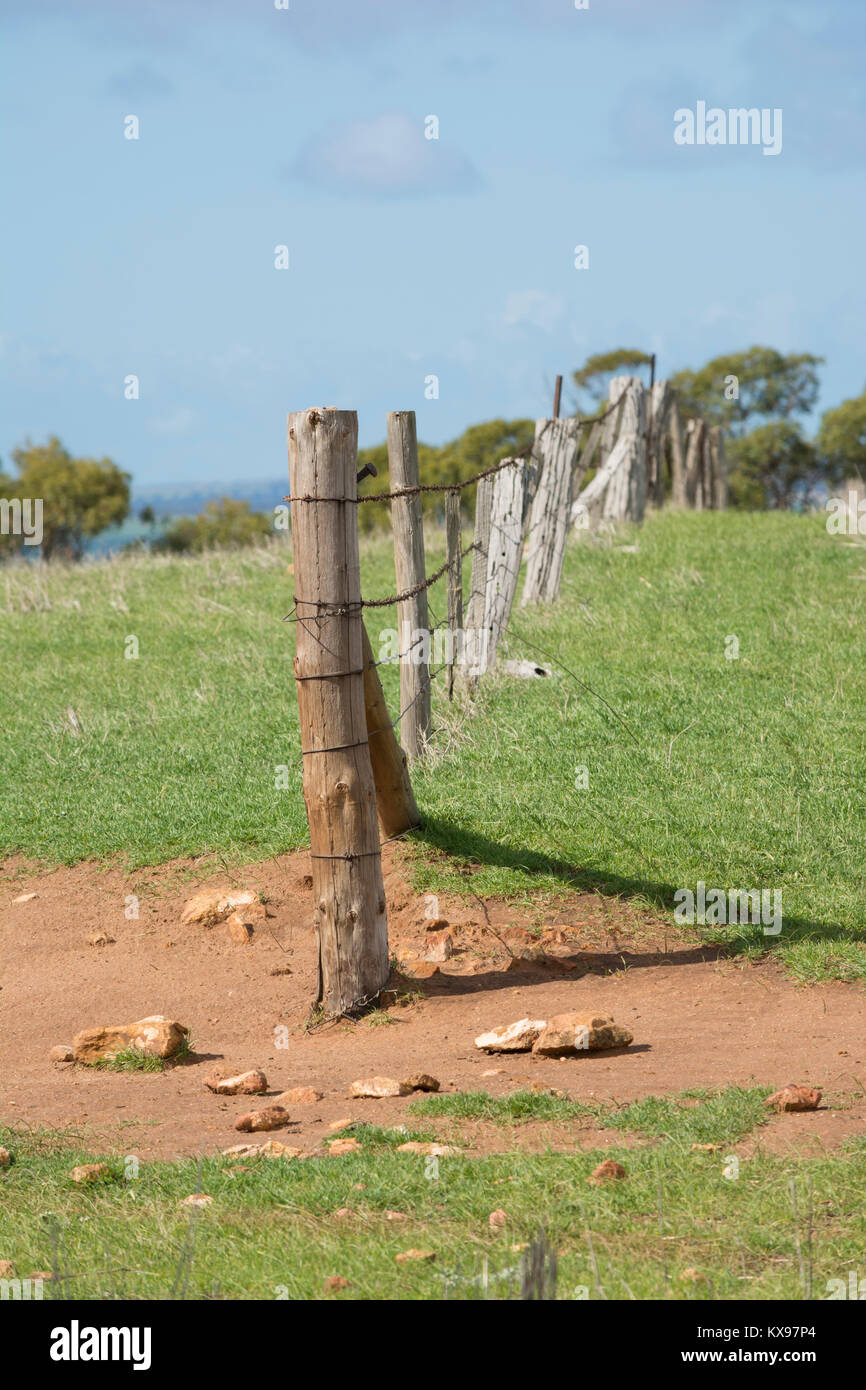 Un tipico South Australian rurale linea di recinzione in legno e filo spinato. Foto Stock