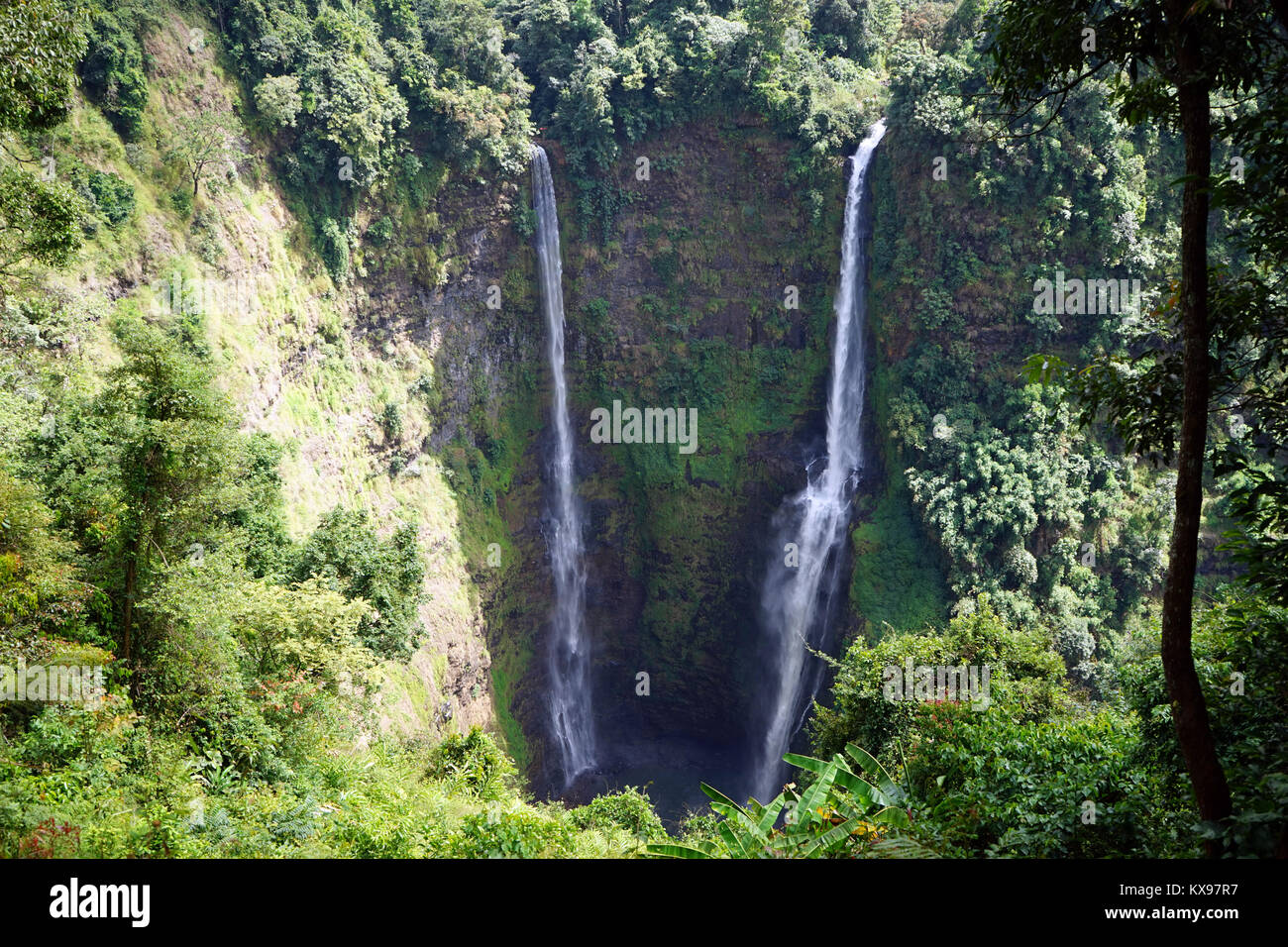 Tad Fane cascata sull'Altopiano di Boleven in Laos Foto Stock