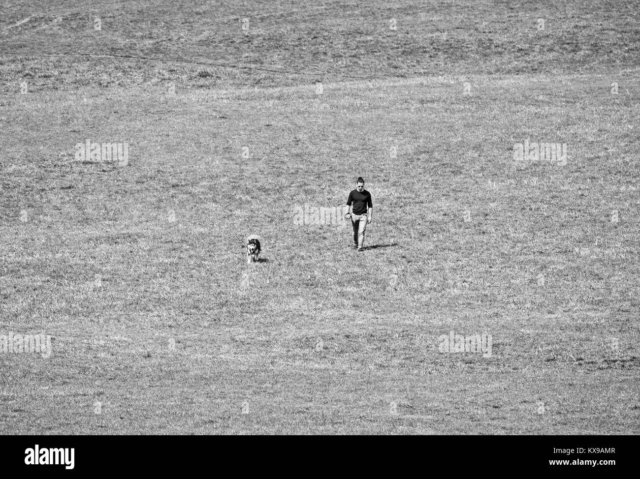 Immagine in bianco e nero del giovane adulto uomo a camminare un cane in un campo vuoto a Vilnius, Lituania Foto Stock Immagine in bianco e nero del giovane adulto uomo a camminare un cane in un campo vuoto a Vilnius, Lituania Foto Stock