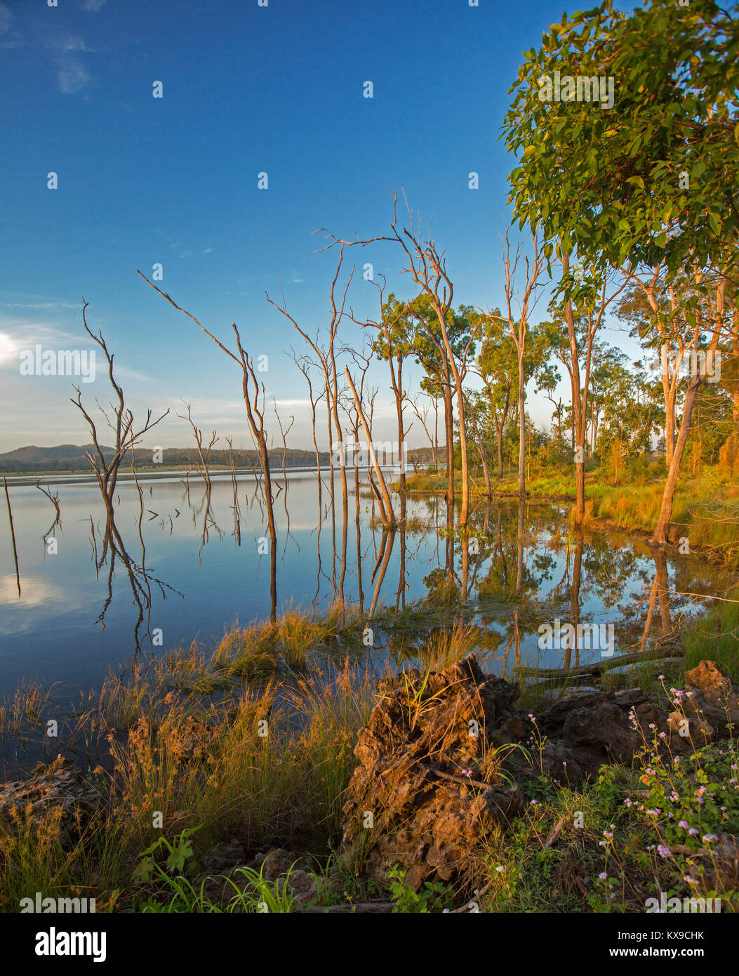 Lo straordinario paesaggio con alberi e cielo blu riflessa nelle calme acque blu del lago di Paradise dam, Queensland Foto Stock