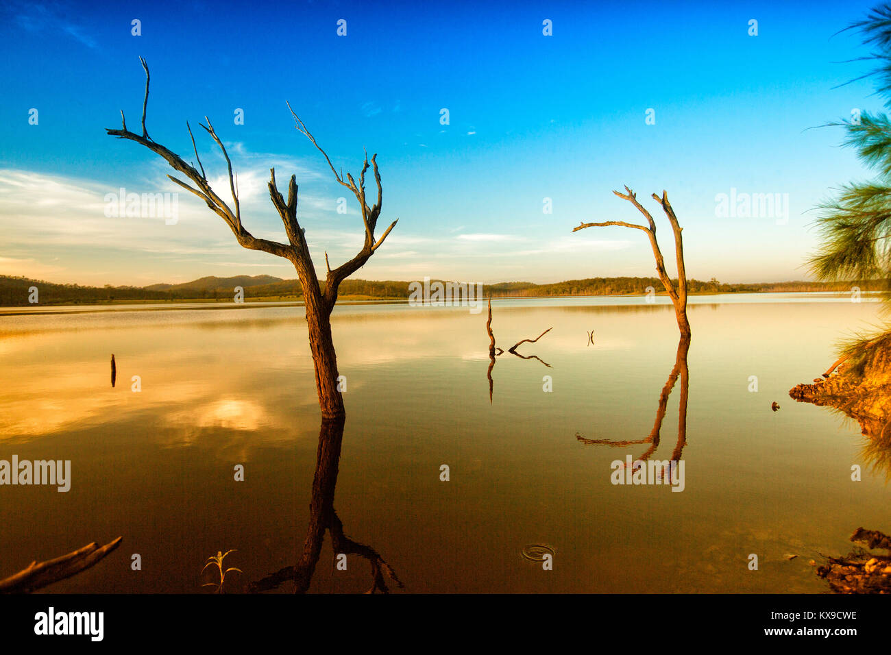 Lo straordinario paesaggio con alberi e cielo blu riflessa nelle calme acque blu del lago di Paradise dam, Queensland Foto Stock