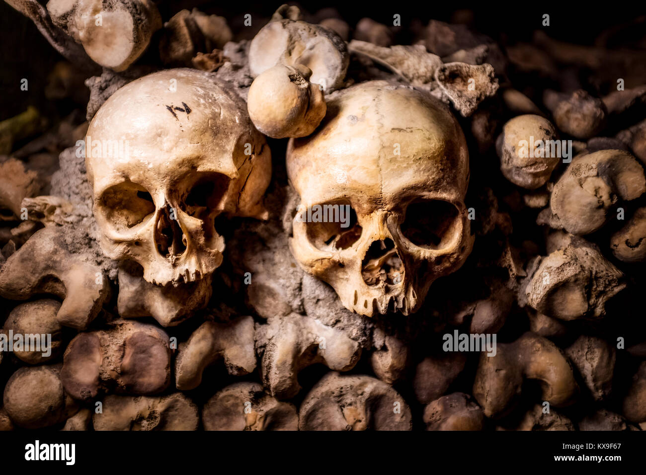 Teschi e le ossa nelle catacombe di Parigi Francia Foto Stock