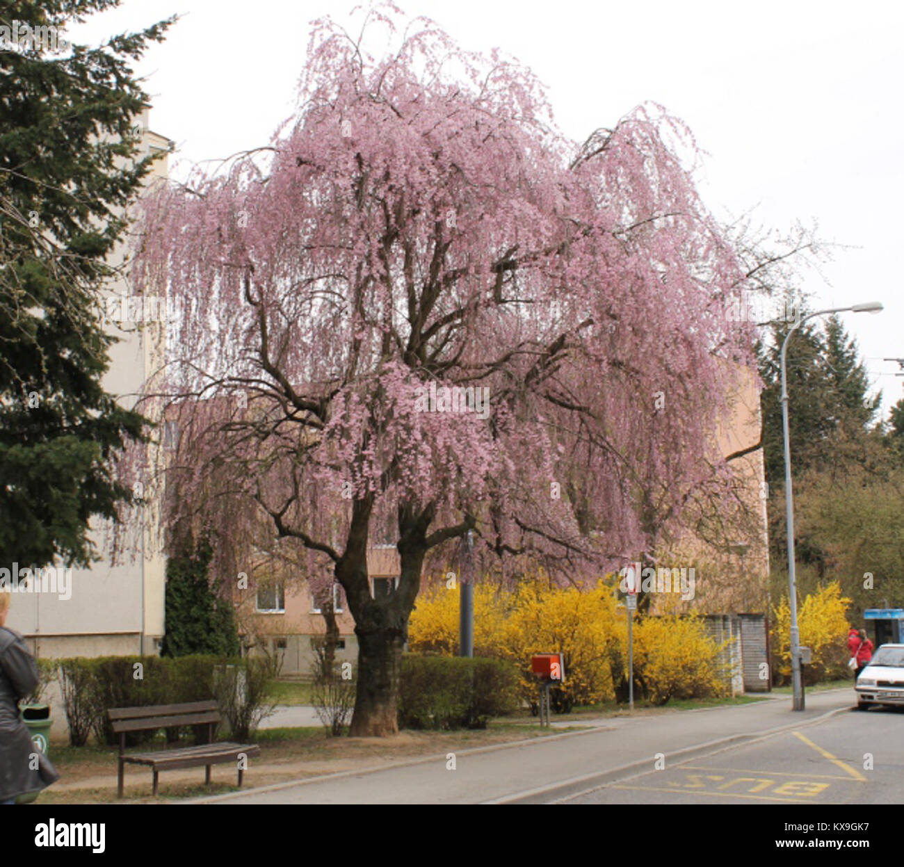 Questa voce "5.díl html" fa parte di una serie o di un documento in formato HTML, che rappresenta un segmento strutturato di una pubblicazione digitale o stampata. Foto Stock