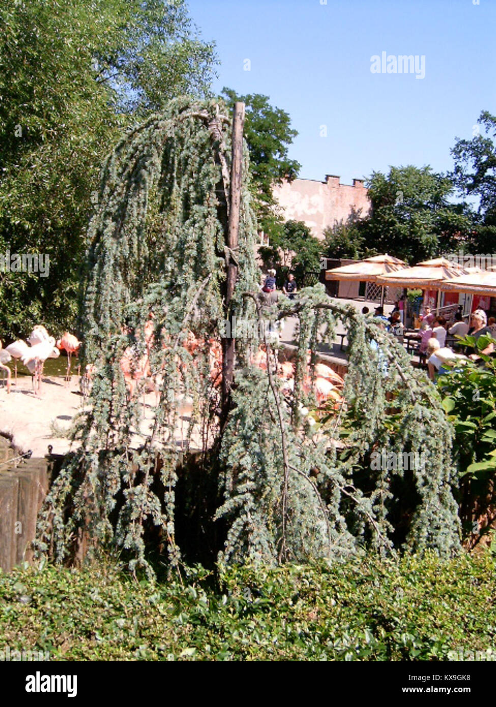 Questa voce non è chiara e non può essere elaborata a causa di informazioni insufficienti sul suo contenuto o oggetto. Foto Stock