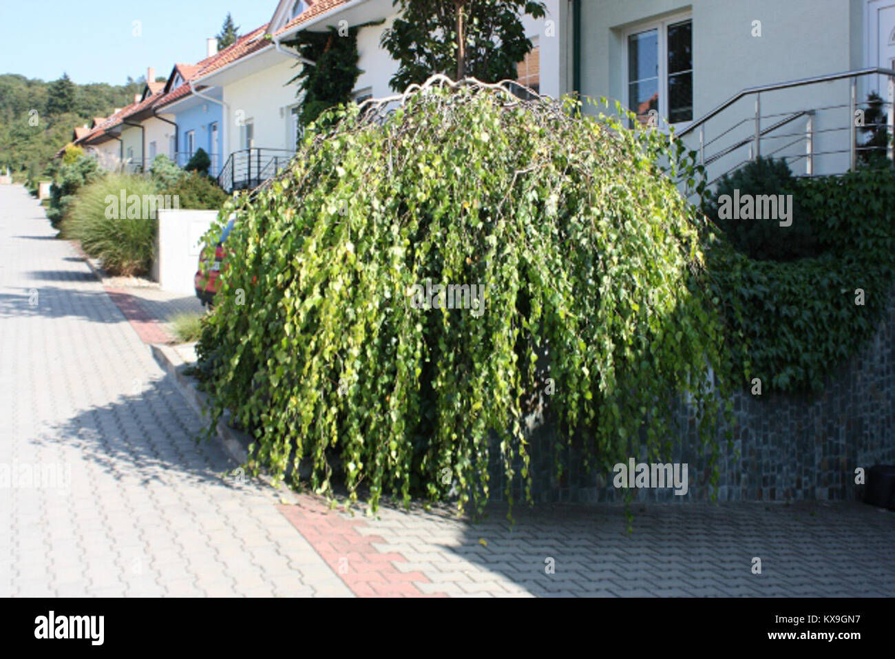 Questa voce non è chiara e non può essere elaborata a causa di informazioni insufficienti sul suo contenuto o sull'oggetto. Foto Stock