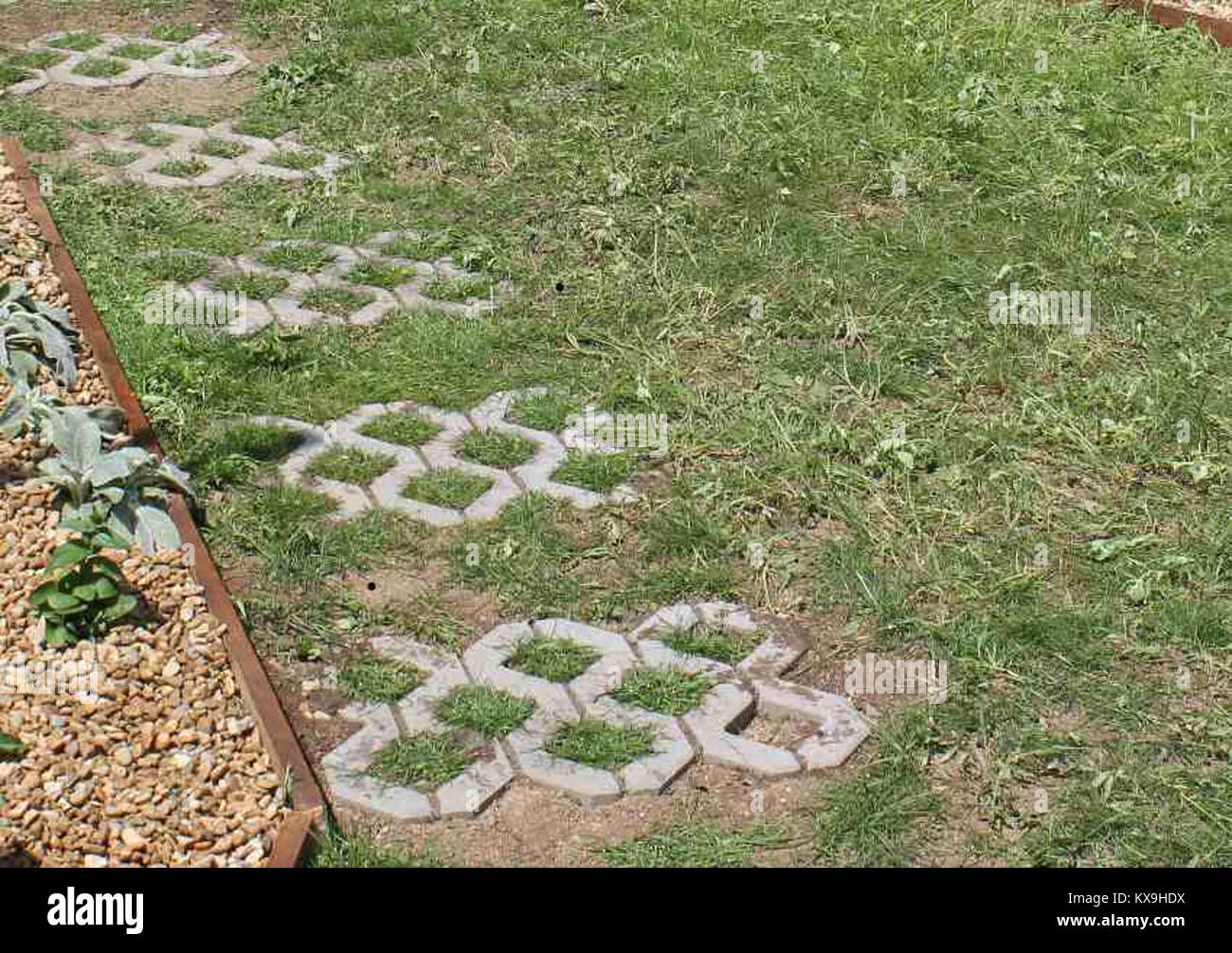 Riferimento alla sesta parte di una serie, etichettata con un identificatore "html 698a9954", senza contesto aggiuntivo sul contenuto. Foto Stock