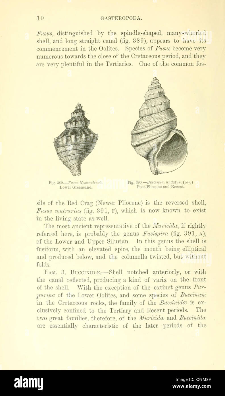 Pagina 10 di "Un manuale di Palæontology per gli studenti" che introduce i tipi fossili, il contesto geologico e i principi paleontologici iniziali Foto Stock