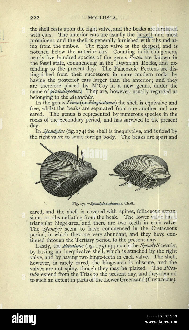 Pagina 222 di "Un manuale di Palæontology per gli studenti" che illustra le strutture scheletriche fossili e il contesto stratigrafico a fini di studio Foto Stock