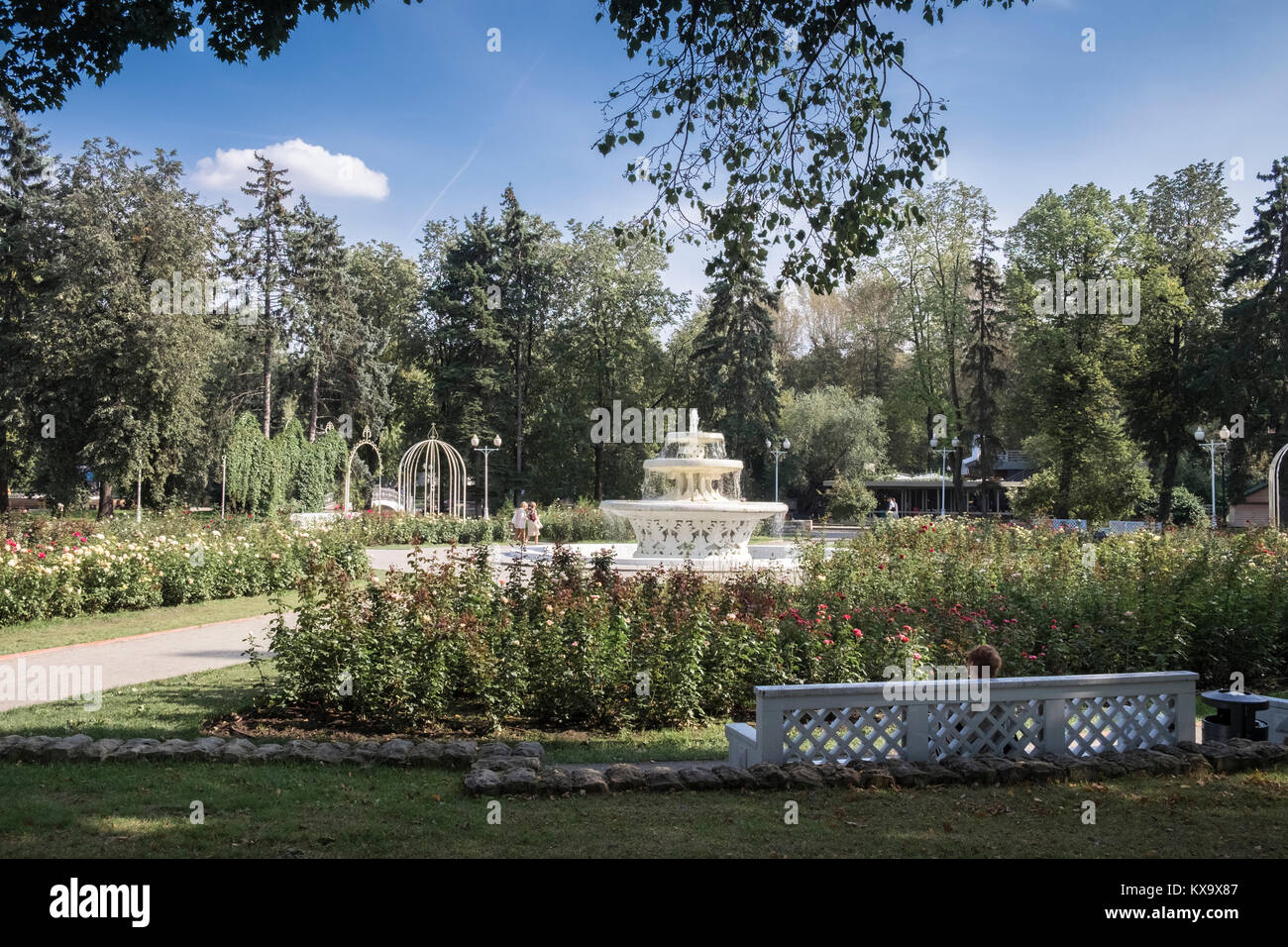 Formale giardino di rose e la fontana all'interno Gorkey Park (AKA Central Park di riposo e cultura), 9, Krymskiy Val, Mosca, 117049, Russia. Foto Stock