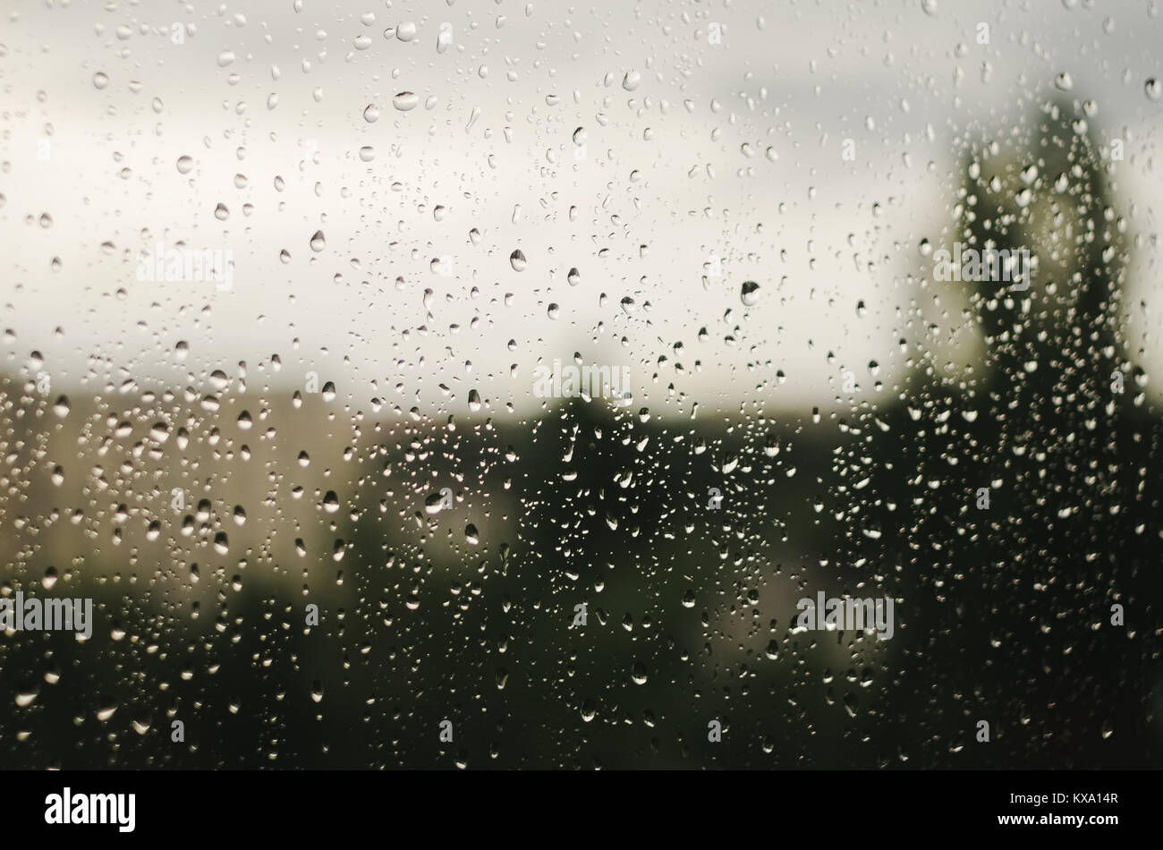 Gocce di pioggia sulla finestra con alberi sfocato come sfondo. La stagione delle piogge. Foto Stock