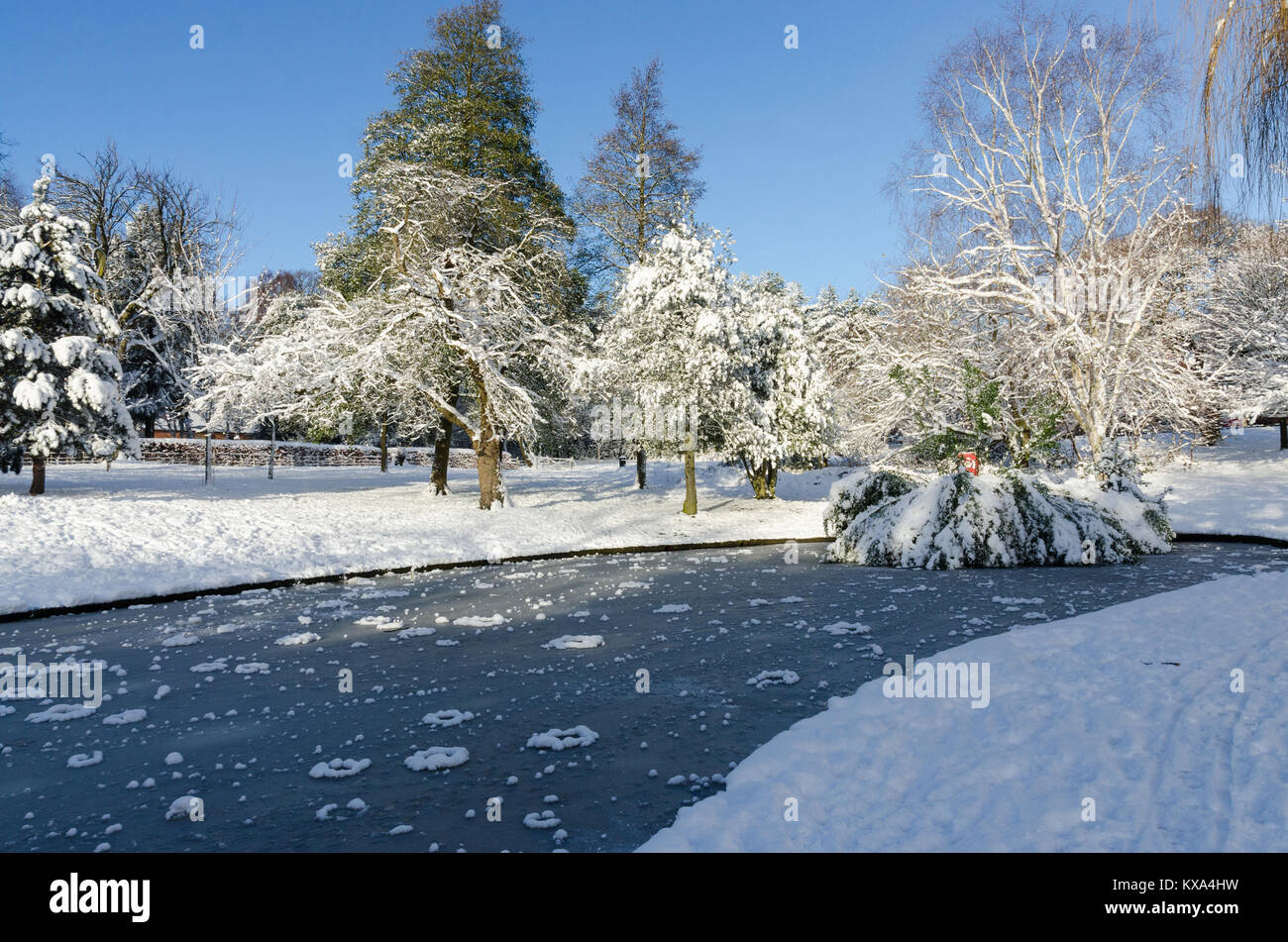 Frozen Duck Pond in Grove Park, Harborne, Birmingham su una soleggiata giornata invernale dopo la nevicata. Foto Stock