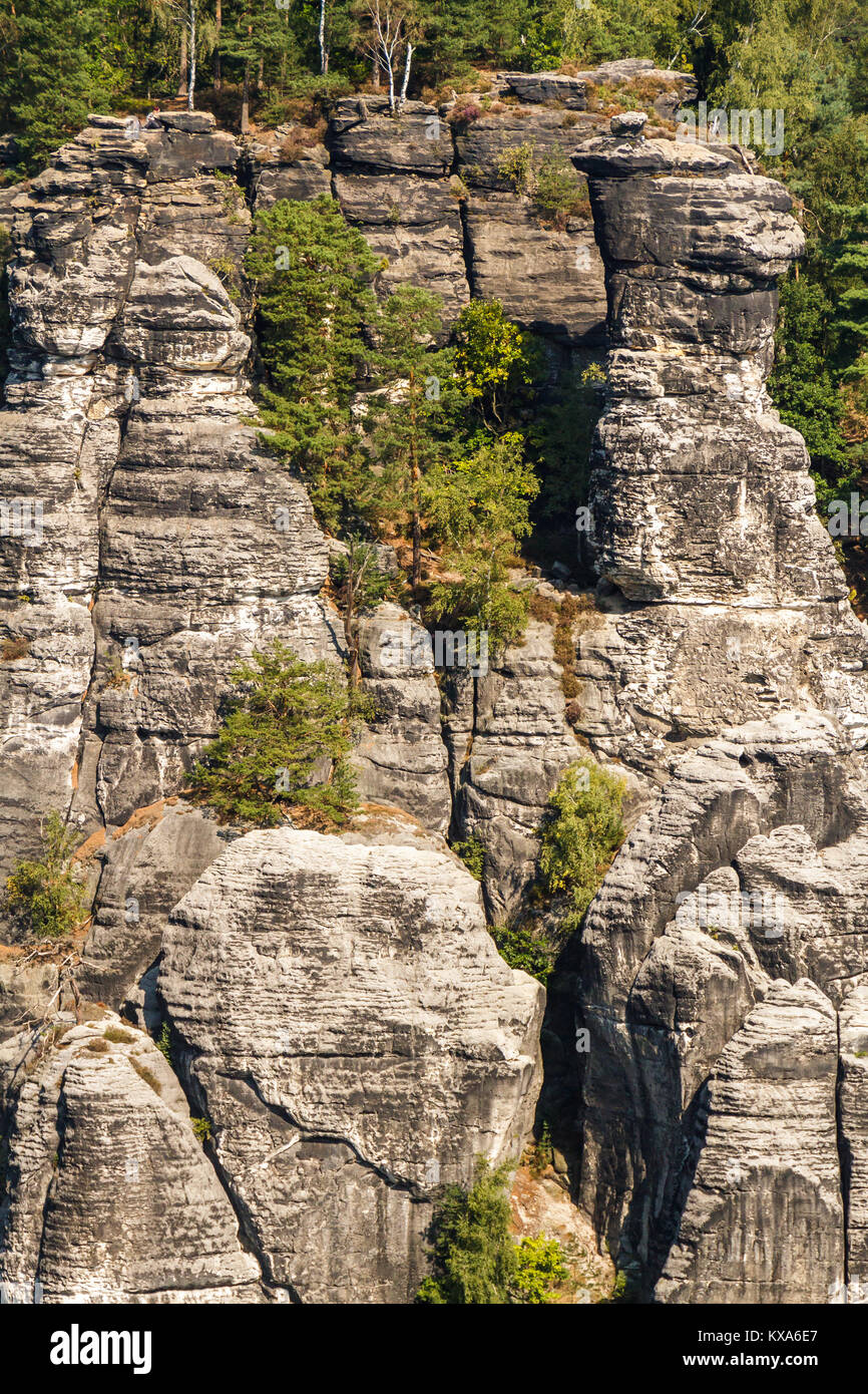 Svizzera sassone sächsiche Schweiz Blick auf die Felslandschaft Foto Stock