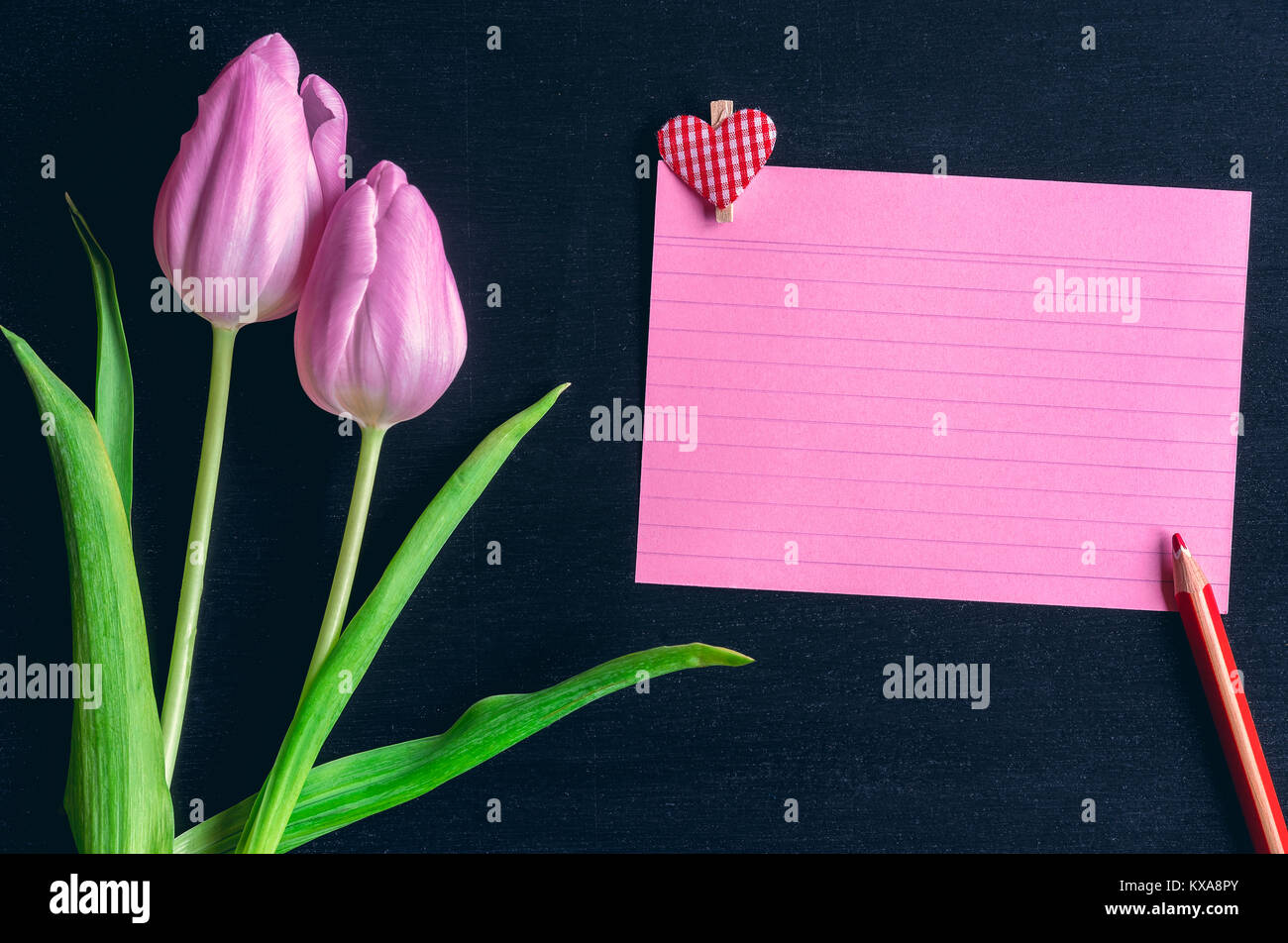Biglietto di auguri idea con tulipani rosa un notebook rosso foglio con strisce, una matita di legno e un clip di legno con un cuore su di esso, su uno sfondo nero. Foto Stock