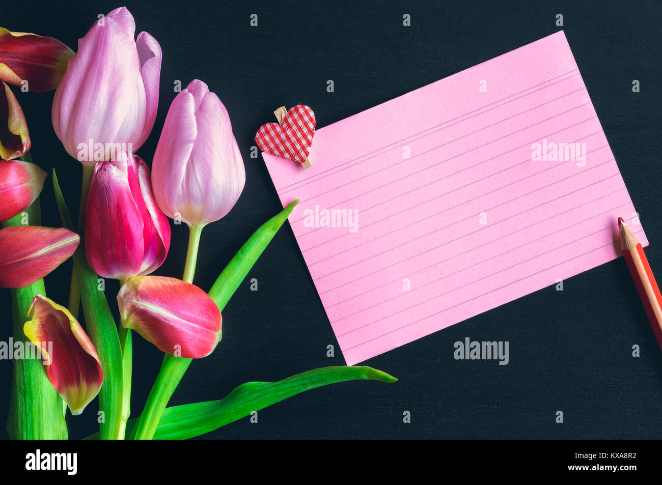 Bella tulipani colorati, un bianco rosso foglio per notebook con strisce e un clip in legno con una forma di cuore su di esso, posto su un nero lo sfondo di legno. Foto Stock