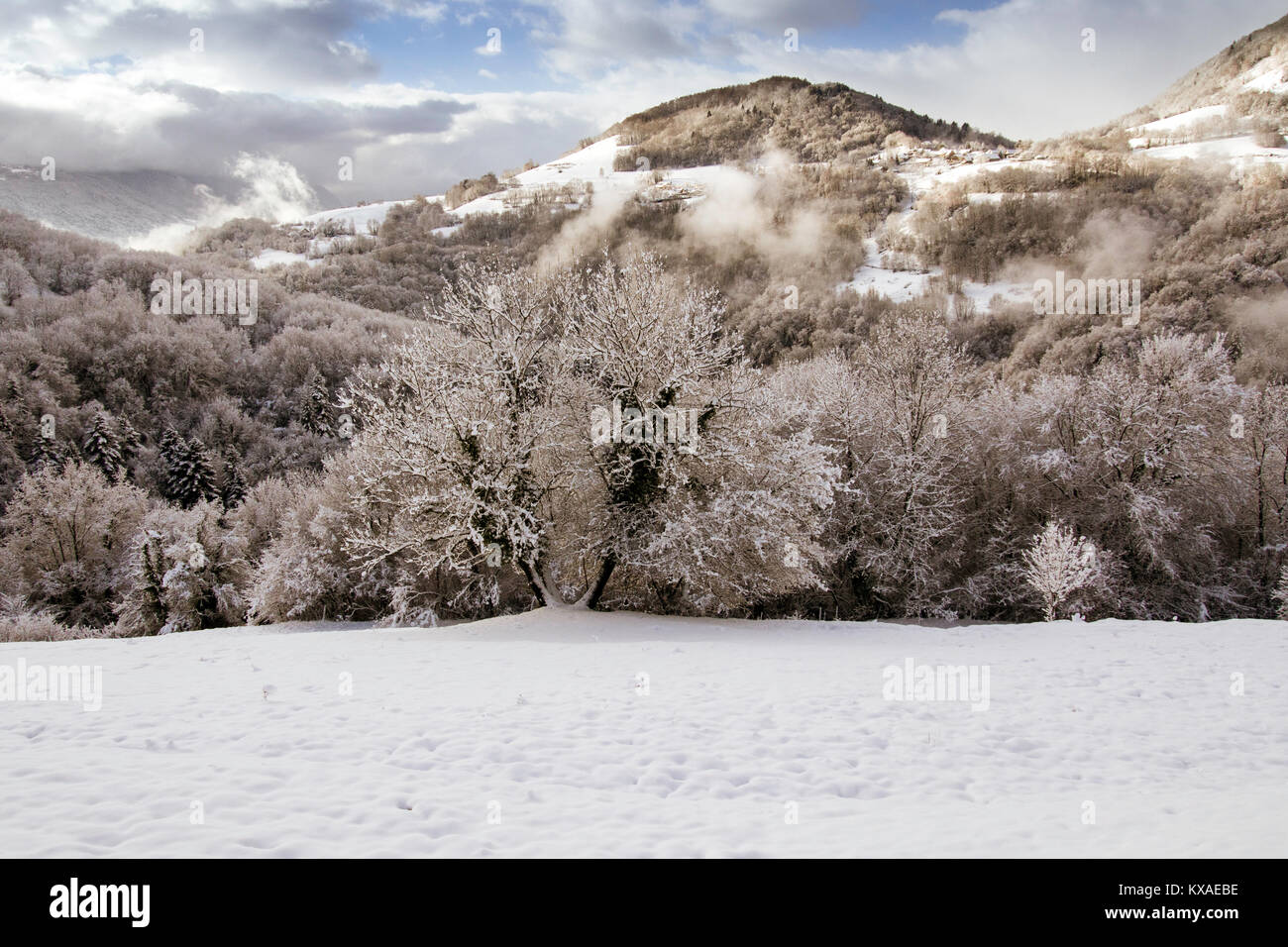 Neve e paesaggio nuvoloso in montagna vicino a Grenoble nelle Alpi francesi Foto Stock