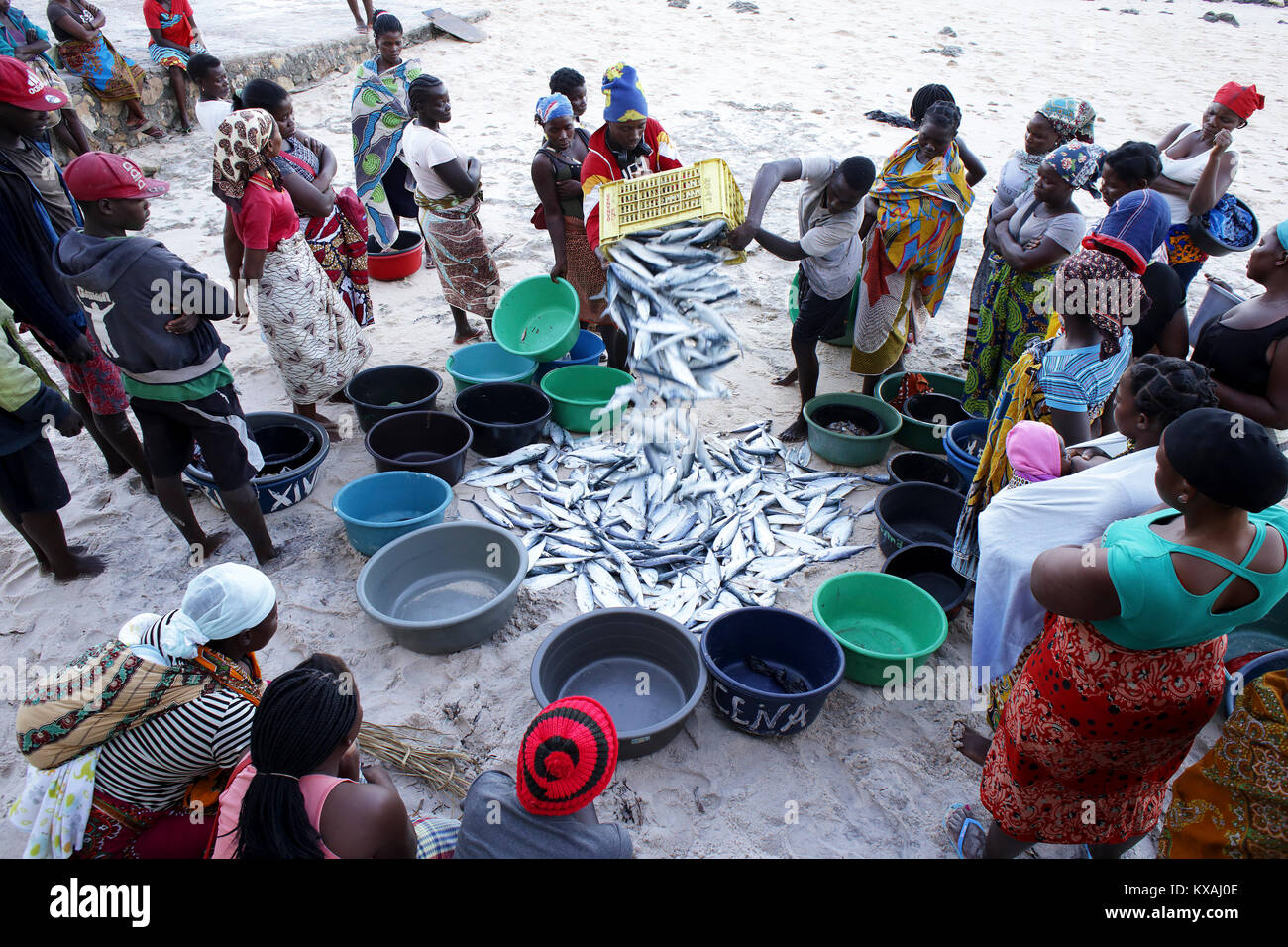 Gente radunarsi intorno agli uomini lo svuotamento di cassa di pesce pescato sulla spiaggia di sabbia, Mozambico Foto Stock