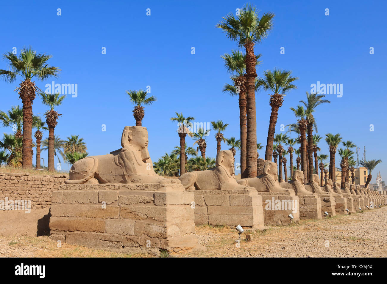 Il vicolo della Sfinge conduce al tempio di Luxor (patrimonio dell'umanità dell'UNESCO) a Luxor, Egitto Foto Stock