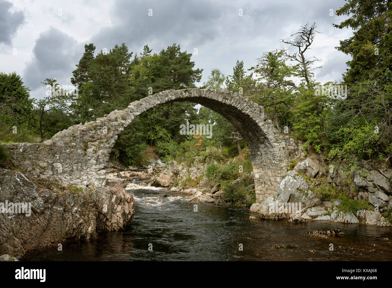 Un antico ponte in pietra costruito nel 1717, altopiani, Carrbridge, Cairngorms National Park, Scozia, Gran Bretagna Foto Stock
