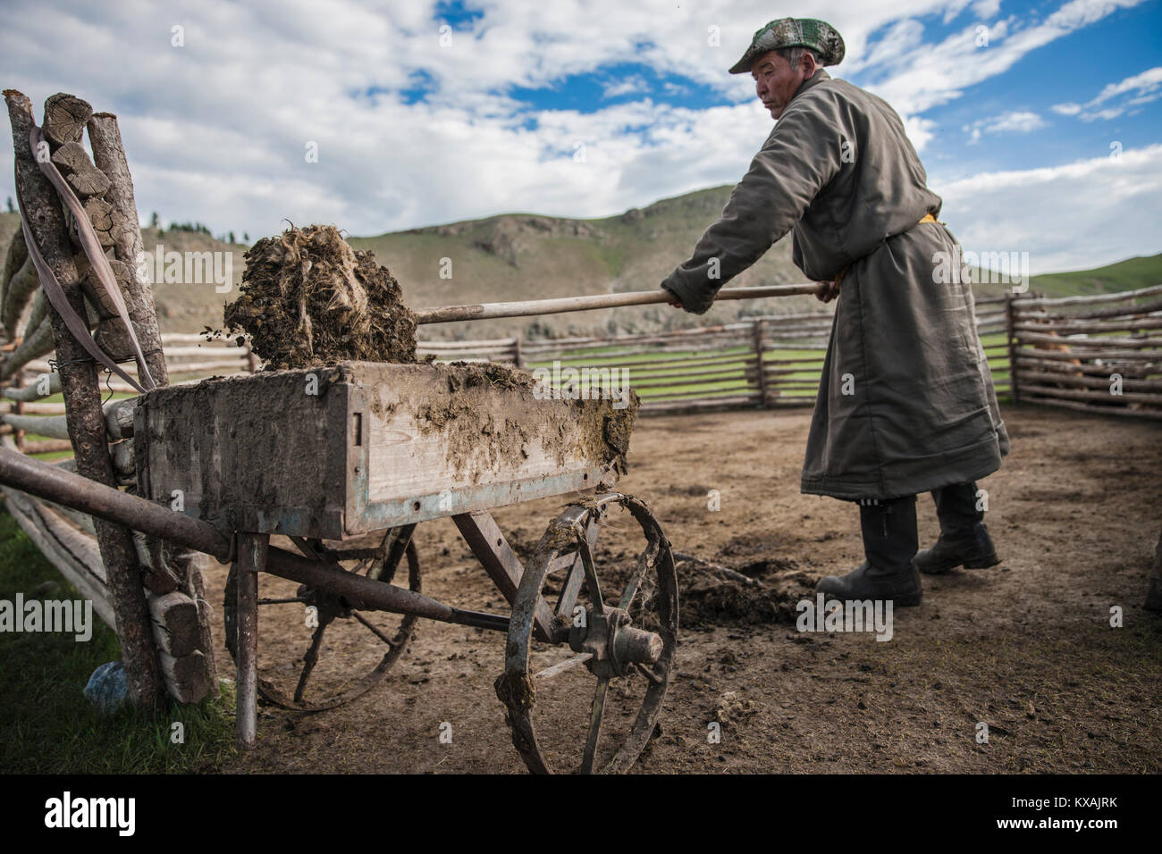 Pastore mongolo stabile di pulizia, Lapis Sky Camp, Bulgan, Mongolia centrale Mongolia Foto Stock