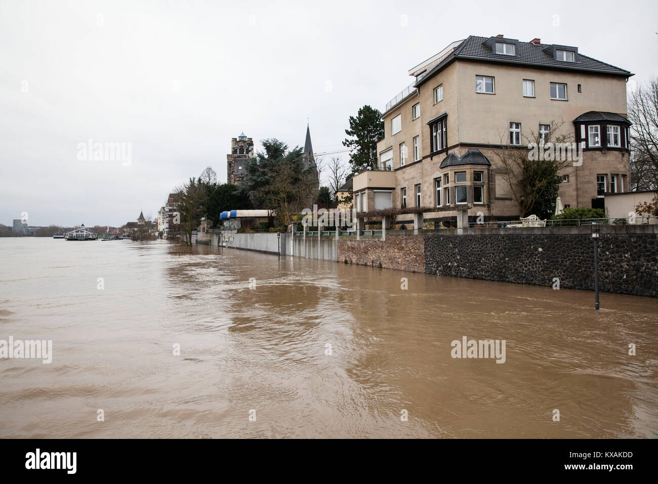 Colonia, Germania. 8 Gen, 2018. Alluvione del fiume Reno, nel quartiere di Rodenkirchen. Credito: Joern Sackermann/Alamy Live News Foto Stock