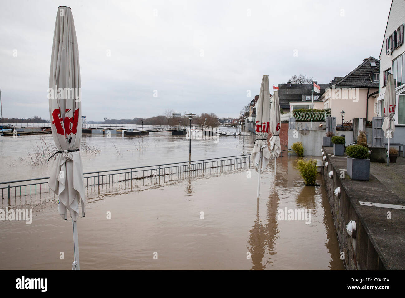 Colonia, Germania. 8 Gen, 2018. Alluvione del fiume Reno, nel quartiere di Rodenkirchen. Credito: Joern Sackermann/Alamy Live News Foto Stock