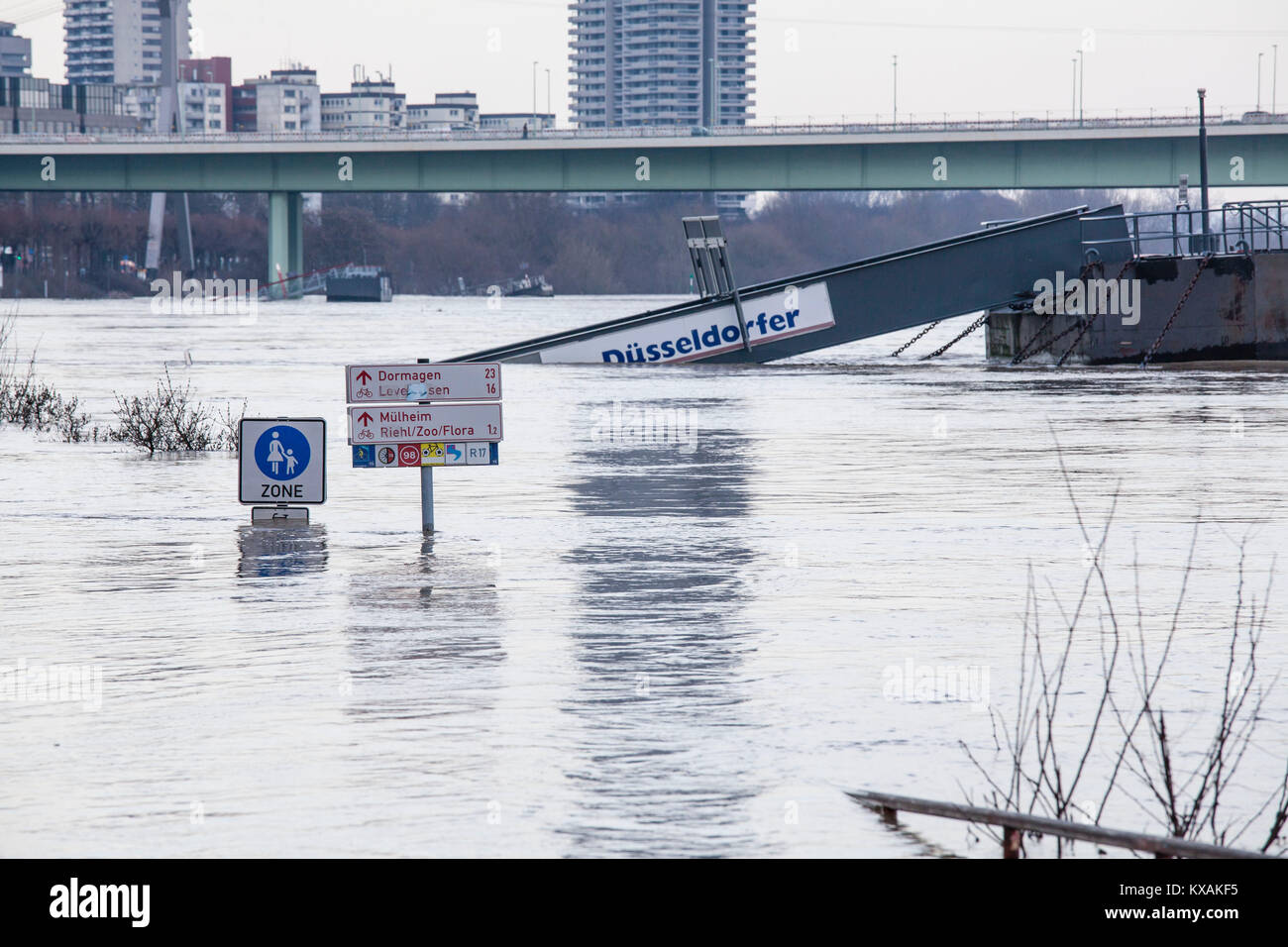 Colonia, Germania. 8 Gen, 2018. Alluvione del fiume Reno. Credito: Joern Sackermann/Alamy Live News Foto Stock