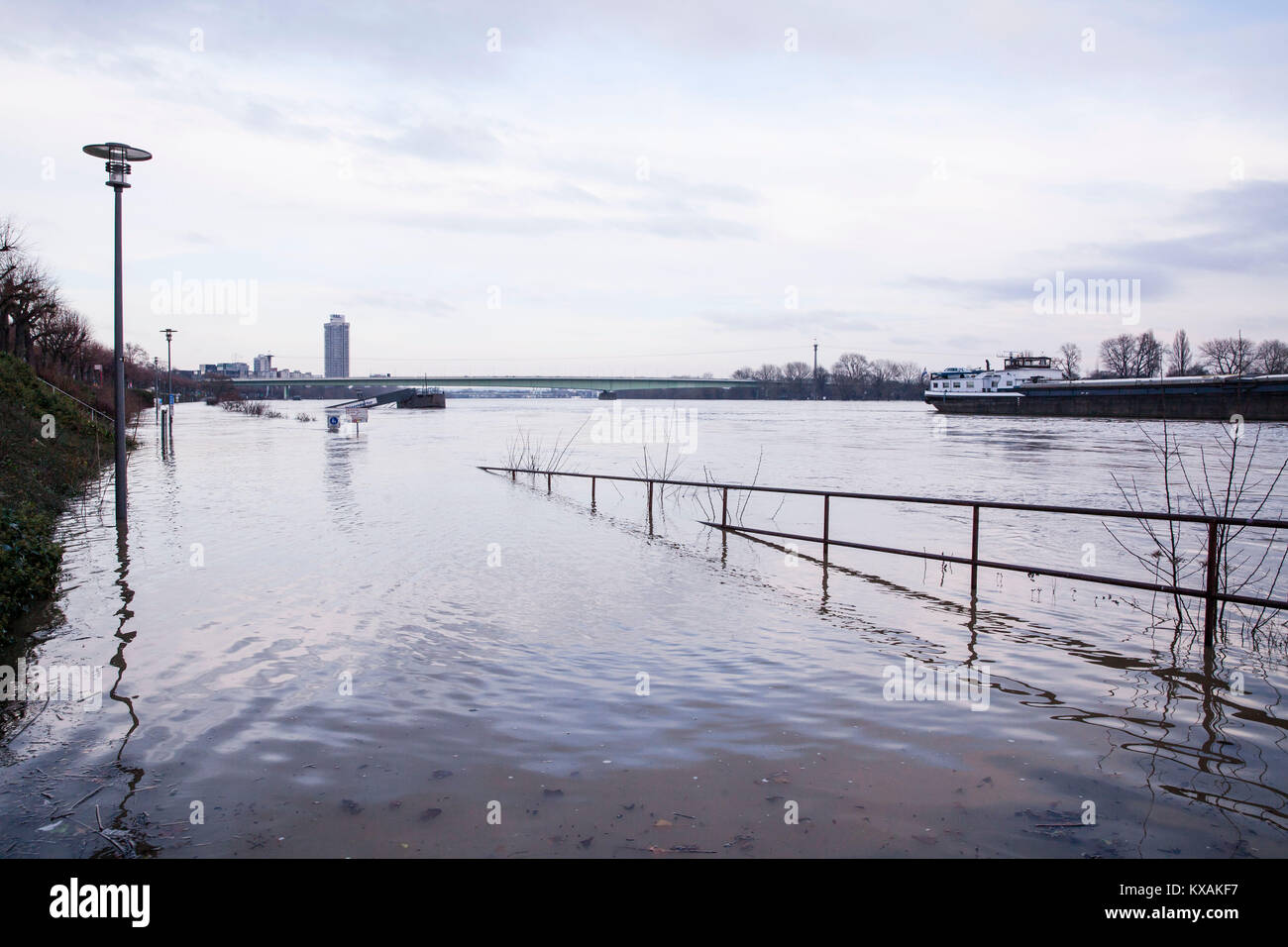 Colonia, Germania. 8 Gen, 2018. Alluvione del fiume Reno. Credito: Joern Sackermann/Alamy Live News Foto Stock