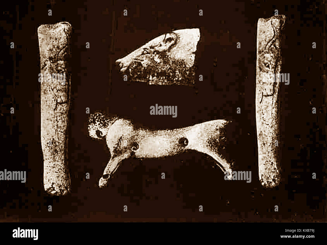 Le Grottes d'Isturitz e d'Oxocelhaya in Francia sono grotte preistoriche contenenti resti di orsi e bisonti antichi, importanti per l'archeologia e lo studio dell'attività preistorica umana e animale. Foto Stock