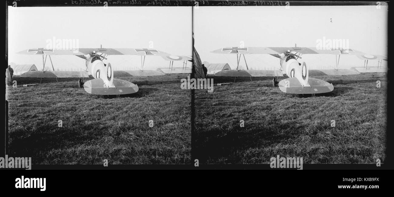 15-11-17. Chaudun. Escuade SPA 65. Biplanare allemand Albatros - Fonds Berthelé - 49FI1081 Foto Stock