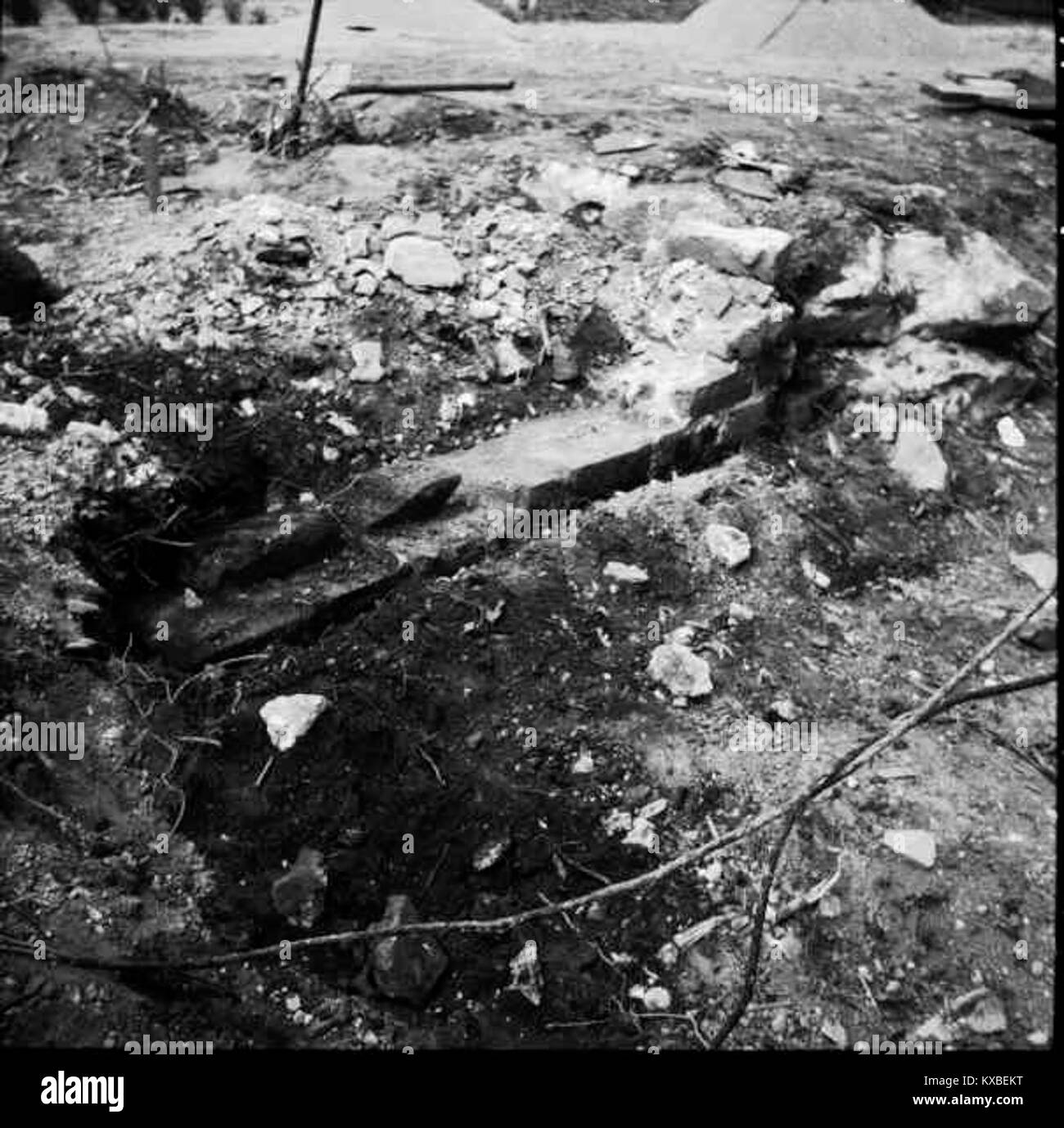 Fotografia delle rovine del monastero certosino a Mariefred, contea di Södermanland, Svezia, elencata come patrimonio culturale con il numero di registro 16000200117050, che mostra i resti in pietra del complesso monastico medievale. Foto Stock