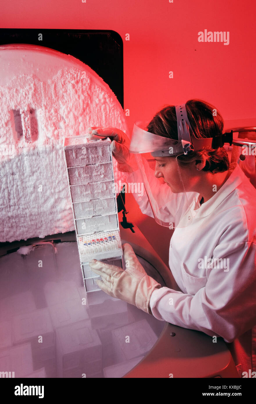 DNA in applicazioni di crioconservazione Foto Stock