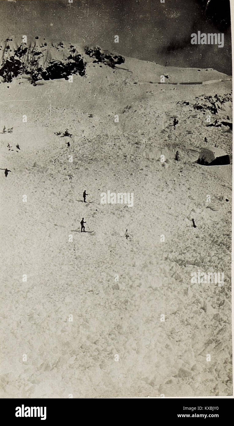 Skifahrer gewinnen durch eine, selbst abgetretene grosse Neuschneelawine (oben die Abbruchstelle) das Fassatal. (BildID 15584886) Foto Stock