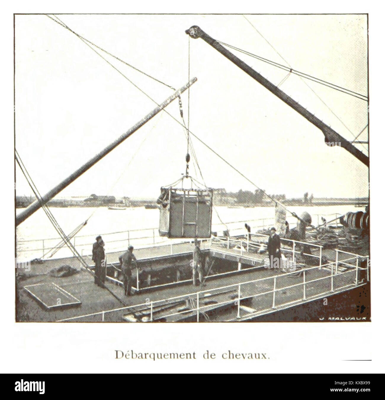 La fotografia mostra i cavalli sbarcati da una nave o da una piattaforma, con i gestori che li guidano sulla terraferma. La scena illustra la logistica storica del trasporto di cavalli, probabilmente legata a rifornimenti militari o convogli agricoli dell'inizio del XX secolo, con gru o rampe e un gruppo di animali e uomini in equipaggiamento da lavoro. Foto Stock