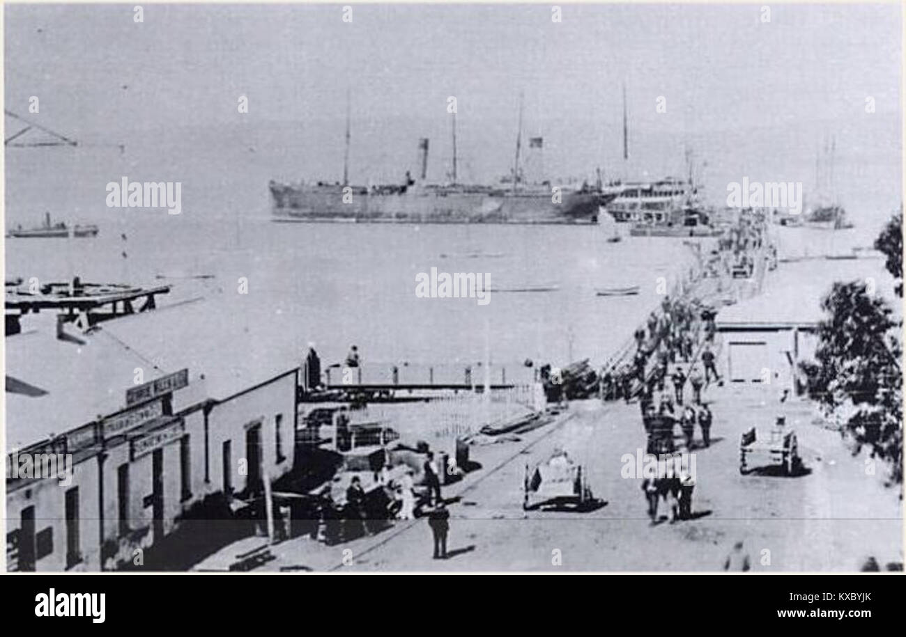 La fotografia mostra la SS Ferret ormeggiata al molo di Albany Town nell'Australia Occidentale, illustrando l'attività marittima e le infrastrutture portuali durante la fine del XIX secolo. Foto Stock