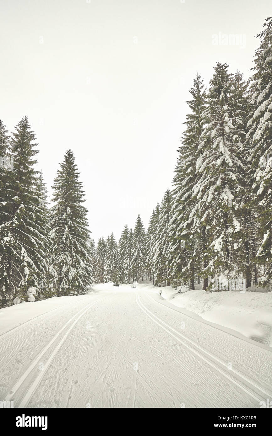 Retrò pictur stilizzata di un inverno paesaggio forestale con piste per lo sci di fondo, Polonia. Foto Stock