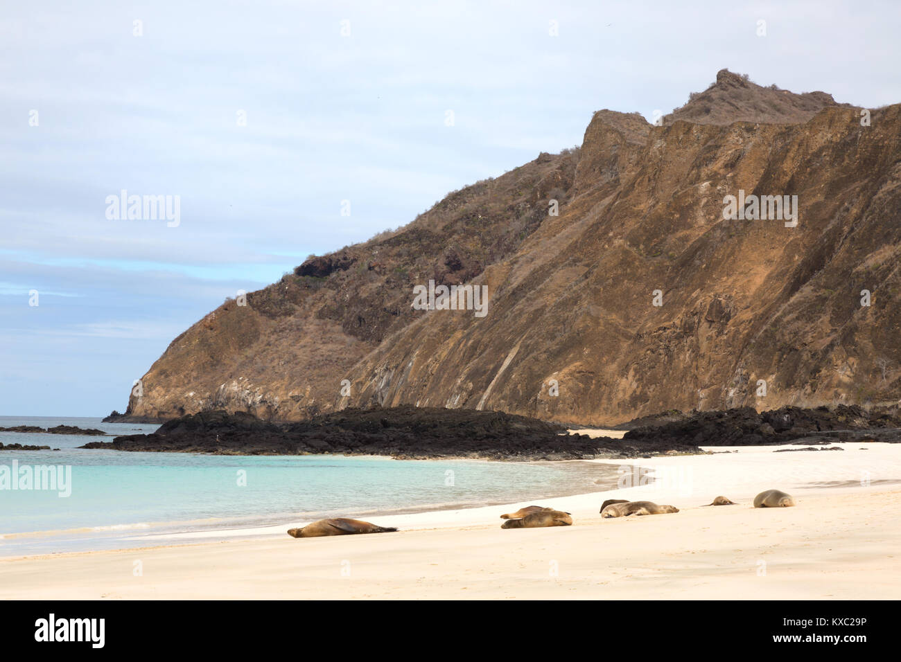 Paesaggio Galapagos - Witch Hill Beach, San Cristobal Island, Isole Galapagos Ecuador America del Sud Foto Stock