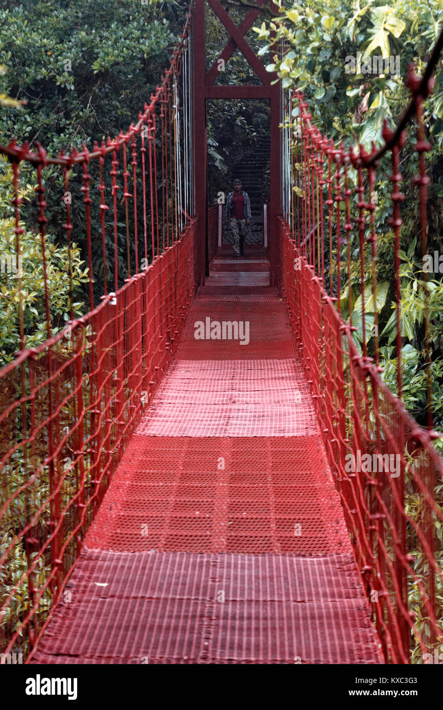 L'uomo attorno alla croce rossa di un ponte sospeso nella Monteverde Cloud Forest Riserve, Costa Rica Foto Stock