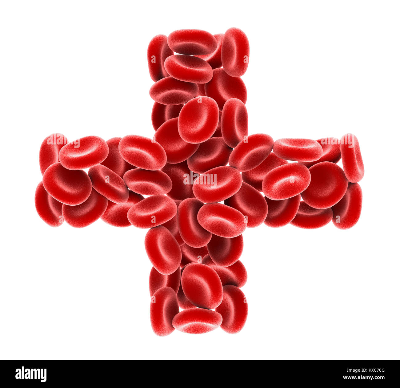 Croce di cellule di sangue rosso isolato Foto Stock